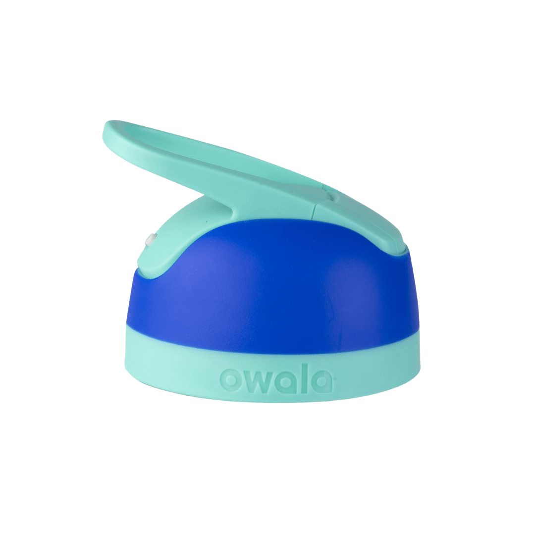 Replacement Lids SGIS