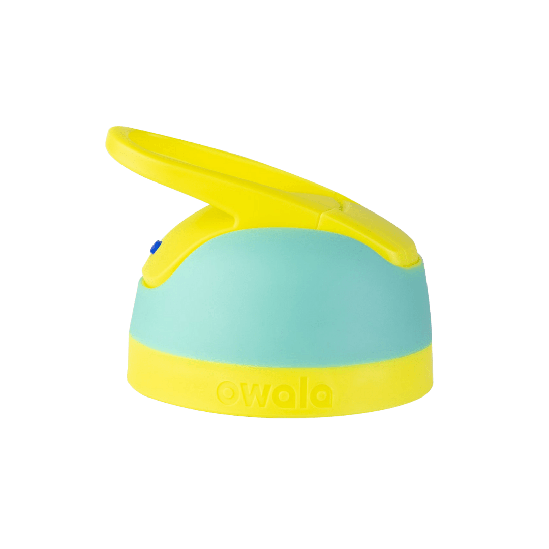 Replacement Lids SGIS
