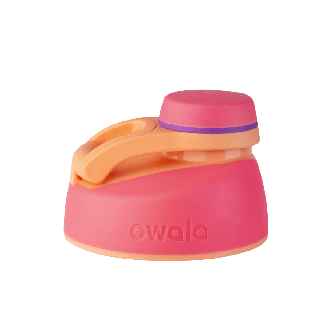 Replacement Lids SGIS