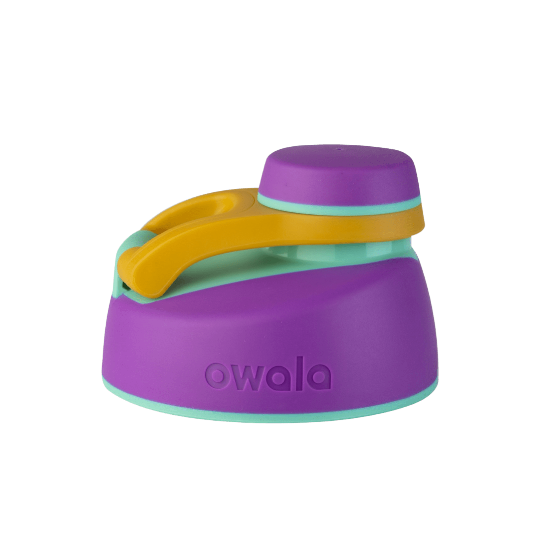 Replacement Lids SGIS