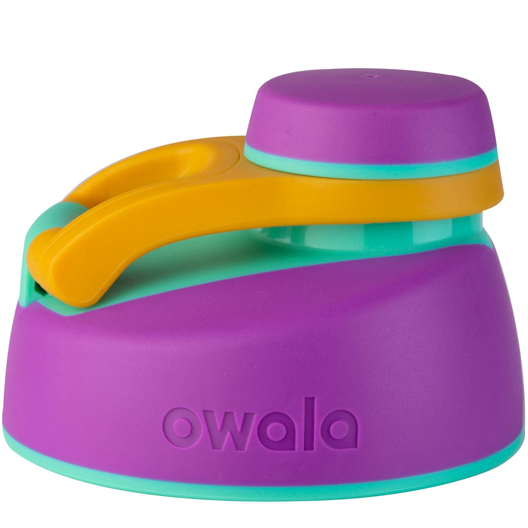 Replacement Lids SGIS