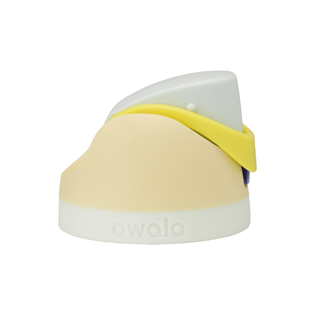 Replacement Lids SGIS