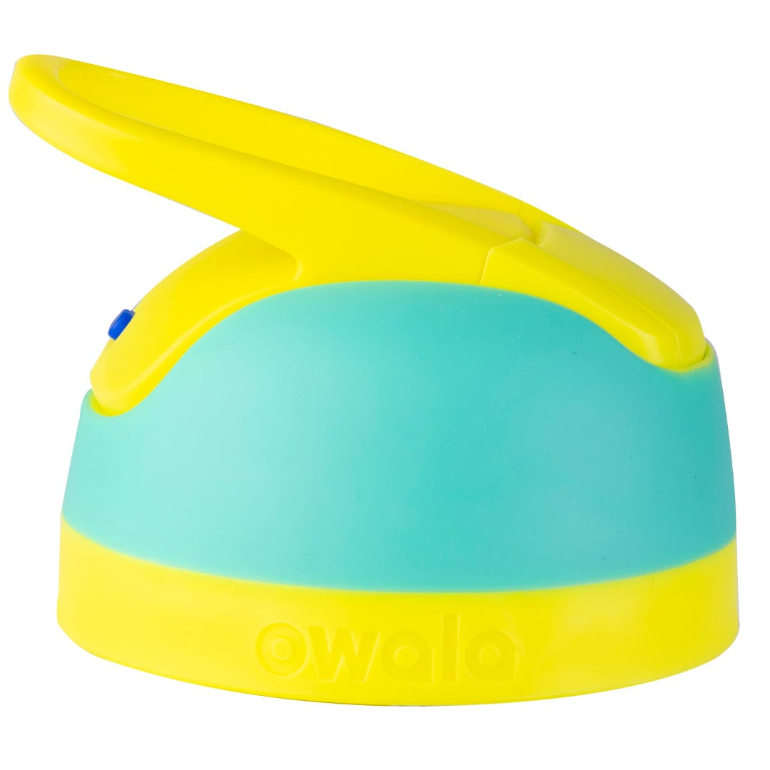 Replacement Lids SGIS