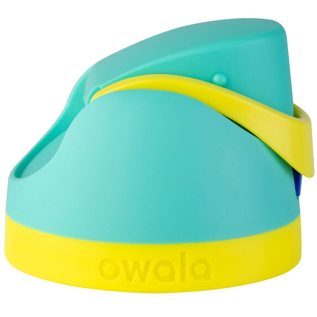 Replacement Lids SGIS