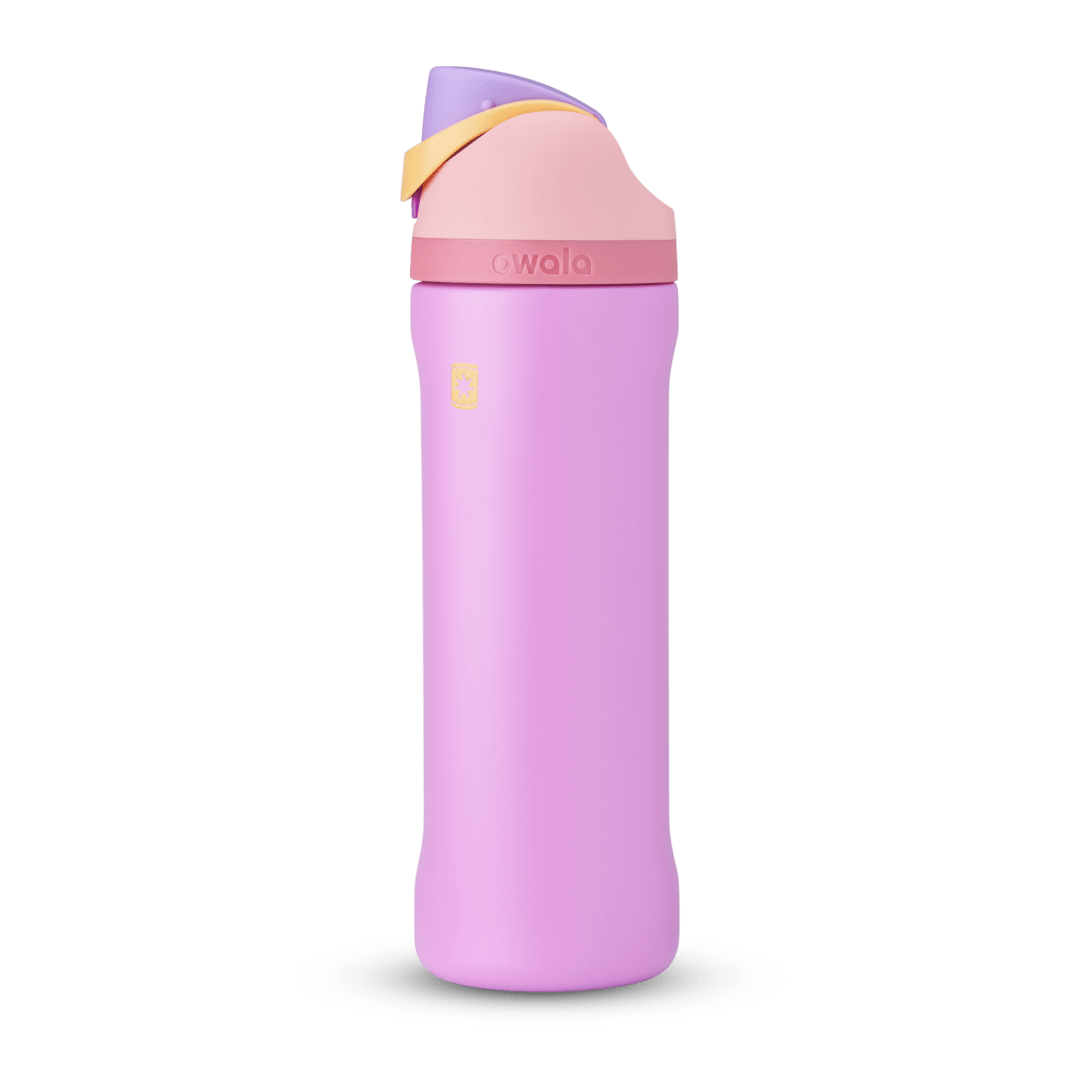 Disney Princess Collection EQY0