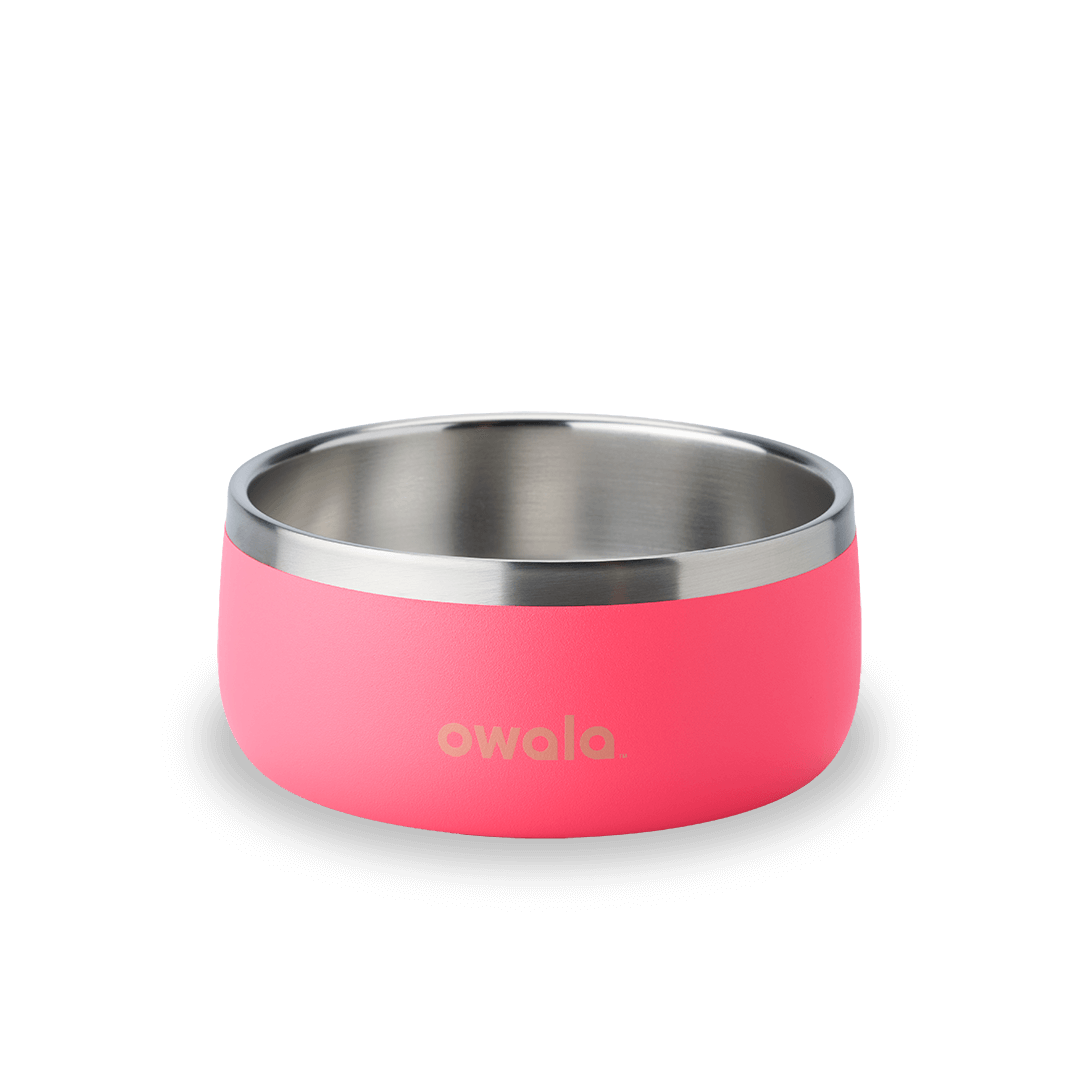 Pet Bowl HU4O