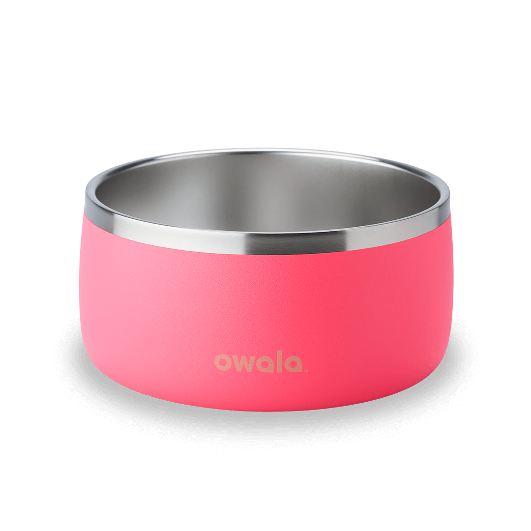 Pet Bowl HU4O