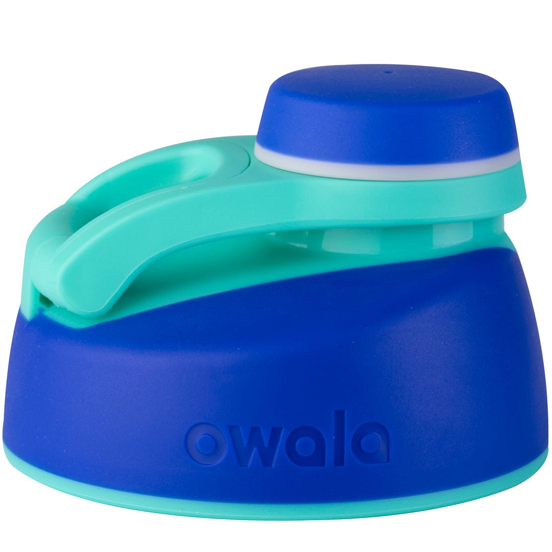 Replacement Lids SGIS