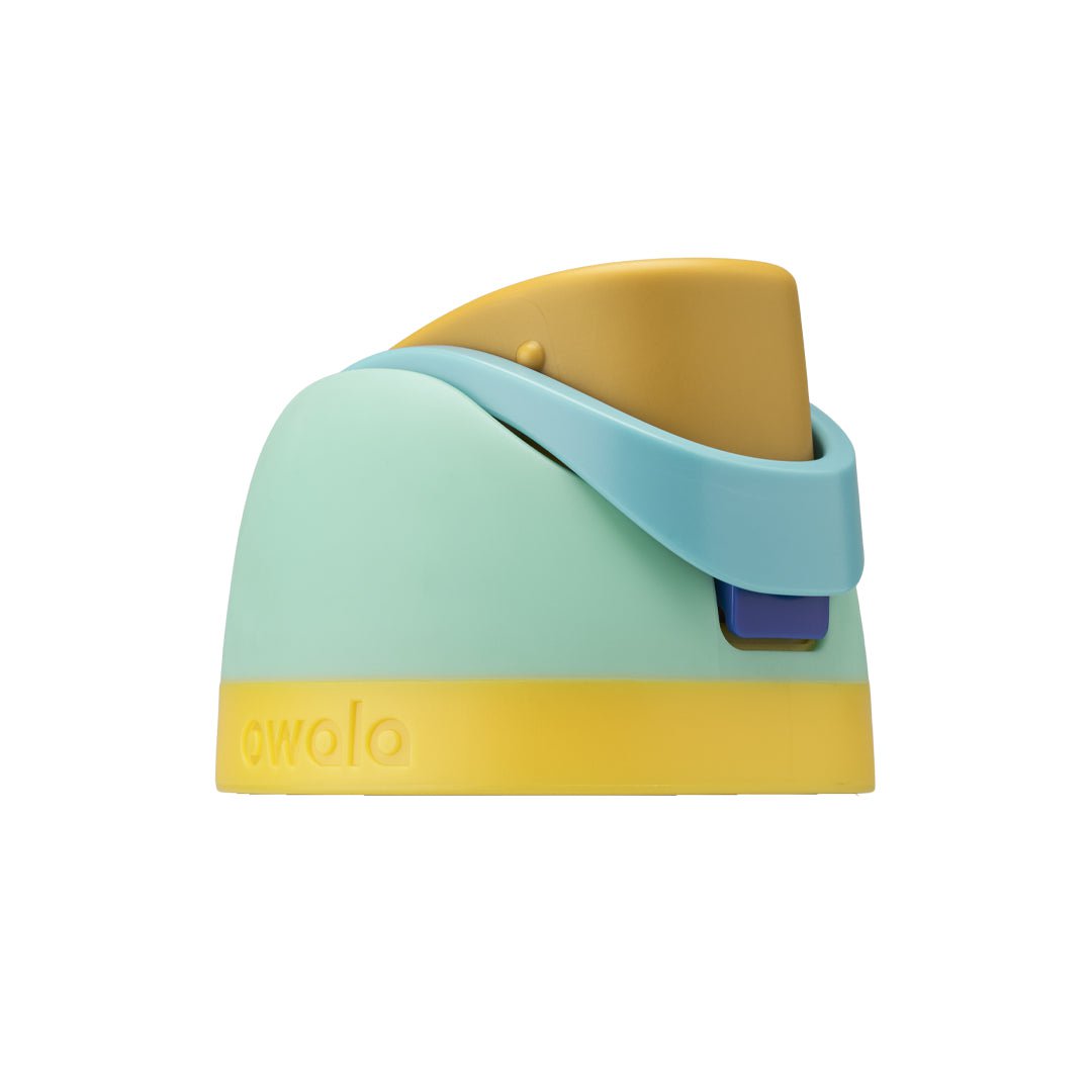 Replacement Lids SGIS